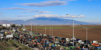 mploka agrotwn eurok 1200x630.jpg