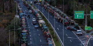 mploka1 1200x630.jpg