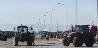 mploko agroton 1200x630.jpg