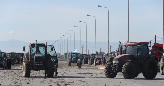 mploko agroton 1200x630.jpg