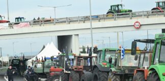 mploko nikaia 2 1 1200x630.jpg