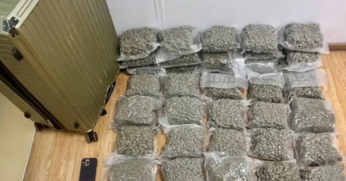 narkotika 1 1200x630.jpg narkotika 1 1200x630.jpg