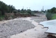 neaperamo 1200x630.jpg