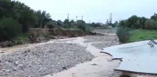 neaperamo 1200x630.jpg