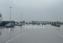 nekrofores malgara 2 1200x630.jpg