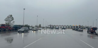 nekrofores malgara 2 1200x630.jpg