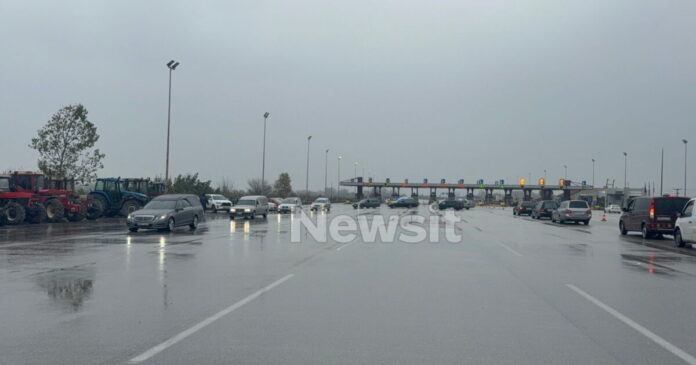 nekrofores malgara 2 1200x630.jpg