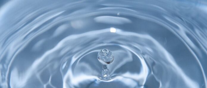 nero 2.jpg nero 2.jpg