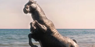 odisseia arxiki 1200x630.jpg