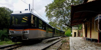 odontotos 1200x630.jpg