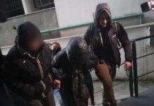 Κύκλωμα αγροτικών επιδοτήσεων: Εγγυήσεις – μαμούθ σε σύζυγο και αδερφή φερόμενου ως εγκέφαλου της οργάνωσης opekepe syllipsis 1 1200x630.jpg