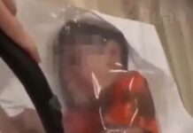 Ρωσία: Σάλος με influencer μητέρα που έβαλε τον γιο της σε σακούλα και ρούφηξε τον αέρα paidi sakoula 1 1200x630.jpg