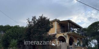 paidi skilos zakinthos 2 1200x630.jpg