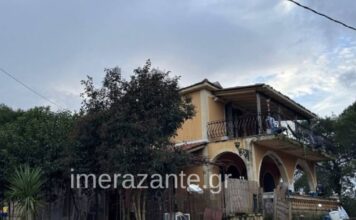 paidi skilos zakinthos 2 1200x630.jpg