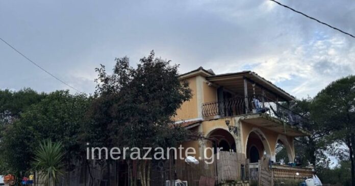 paidi skilos zakinthos 2 1200x630.jpg