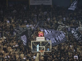 paok opadoi mpasket eurokinissi 1200x630.jpg