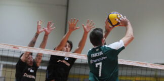 paopaok 1200x630.jpg