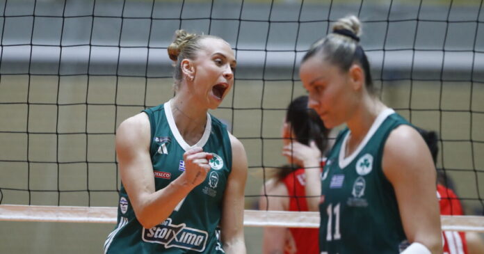 paovolley 1200x630.jpg paovolley 1200x630.jpg