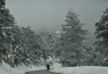 parnitha75 1200x630.jpg