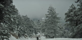 parnitha75 1200x630.jpg