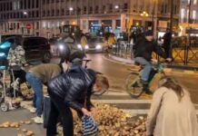 patates brusseels 1200x630.jpg