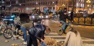 patates brusseels 1200x630.jpg