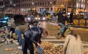 patates brusseels 1200x630.jpg