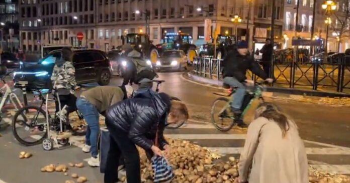 patates brusseels 1200x630.jpg