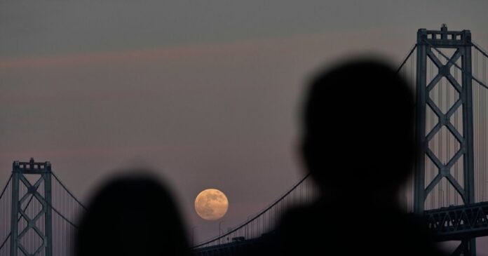 people 1200x630.jpg people 1200x630.jpg