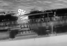 petreleoforo 1200x630.jpg