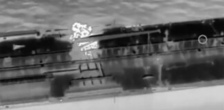 petreleoforo 1200x630.jpg