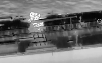 petreleoforo 1200x630.jpg