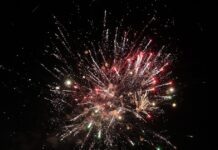 Τι είναι τα αθόρυβα πυροτεχνήματα και πως συμβάλλουν στην προστασία των ζώων pirotexnimata 1200x630.jpg