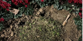 plaka thessaloniki 1200x630.jpg