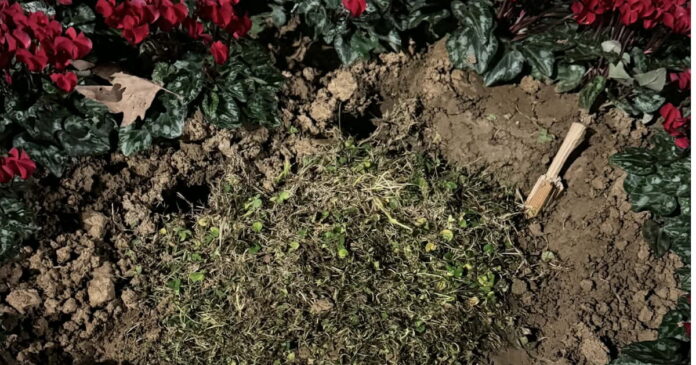 plaka thessaloniki 1200x630.jpg