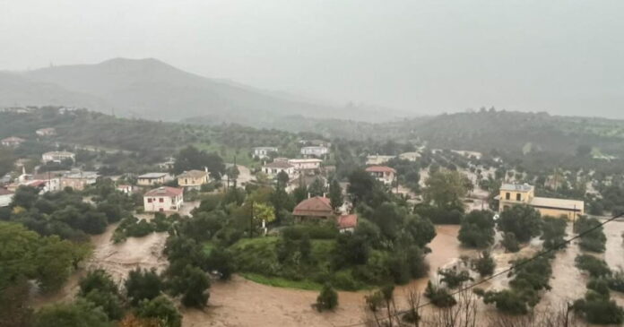 platanos xorio 1200x630.jpg