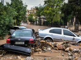 plimmira eurok 1200x630.jpg