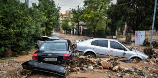 plimmira eurok 1200x630.jpg