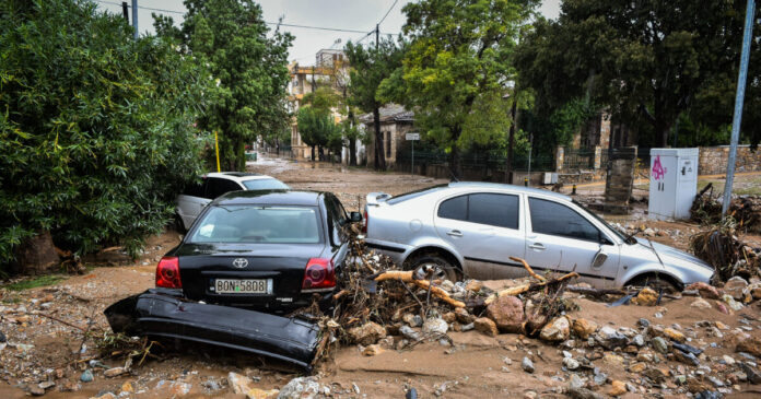 plimmira eurok 1200x630.jpg