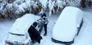 poland 1 1200x630.jpg