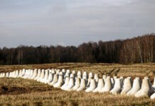 poland defence mines reuters 1200x630.jpg