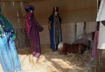 Βόλος: Οι αντιδράσεις για το ζωντανό πόνι μέσα στη φάτνη και η απάντηση του Αχιλλέα Μπέου poni 1 1200x630.jpg