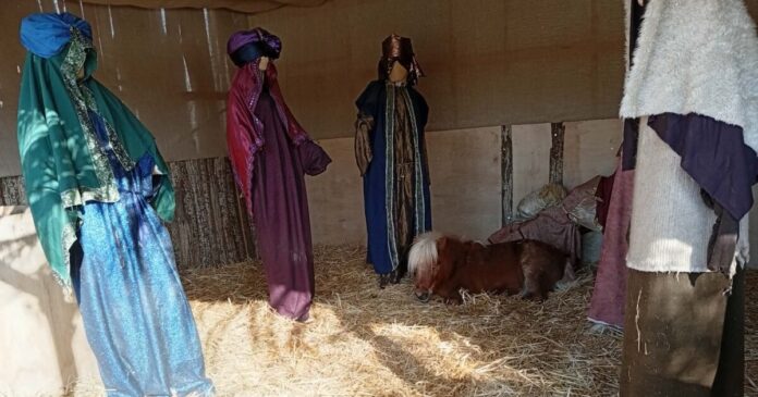 poni 1 1200x630.jpg poni 1 1200x630.jpg