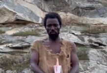 profhths 1200x630.jpg