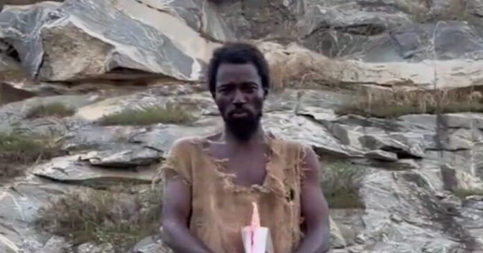 profhths 1200x630.jpg