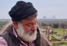 Εξιτήριο πήρε ο κτηνοτρόφος που είχε καταρρεύσει για τα πρόβατά του – «Έπαθε εγκεφαλικό» λέει η γυναίκα του provata 1 1 1200x630.jpg