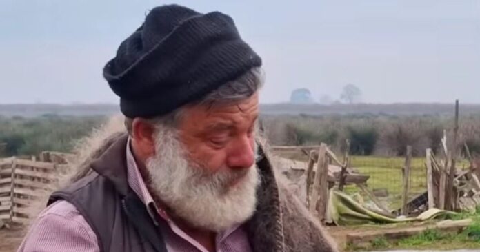 provata 1 1 1200x630.jpg provata 1 1 1200x630.jpg