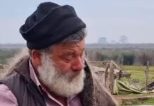 Κτηνοτρόφος αποχαιρετά με δάκρυα στα μάτια τα 450 πρόβατά του, που θα θανατωθούν λόγω της ευλογιάς – «Τα φύλαξα από την πείνα και τους λύκους» provata 1 1200x630.jpg