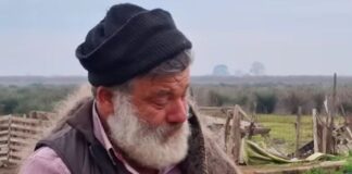 provata 1 1200x630.jpg