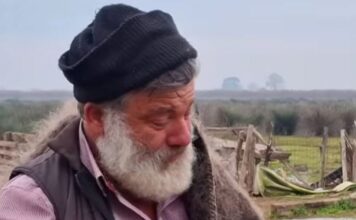 provata 1 1200x630.jpg